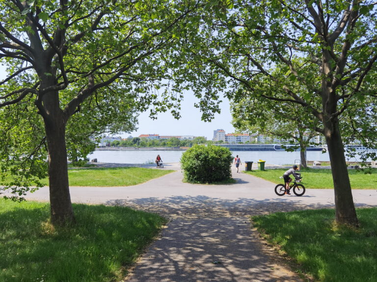 DONAUINSEL WIEN ⭐ Die grüne Insel der Stadt!